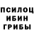 Псилоцибиновые грибы мухоморы GO_U_R_Python