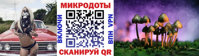 Купить закладки  Дорогобуж  Псилоцибиновые грибы Psilocybine cubensis 